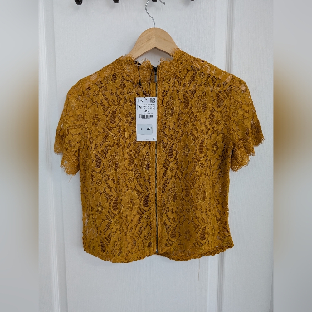 NWT Zara Women's Semi-Sheer Yellow Lace Crop Top - Size Medium - Picture 2 of 7